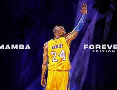 开云体育下载-双重征服，当伊萨克接管圣西罗之夜，AC米兰如何踏平土耳其铁壁