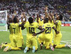 开云体育APP下载-卡塔尔队击败对手，夺冠希望渐增的简单介绍