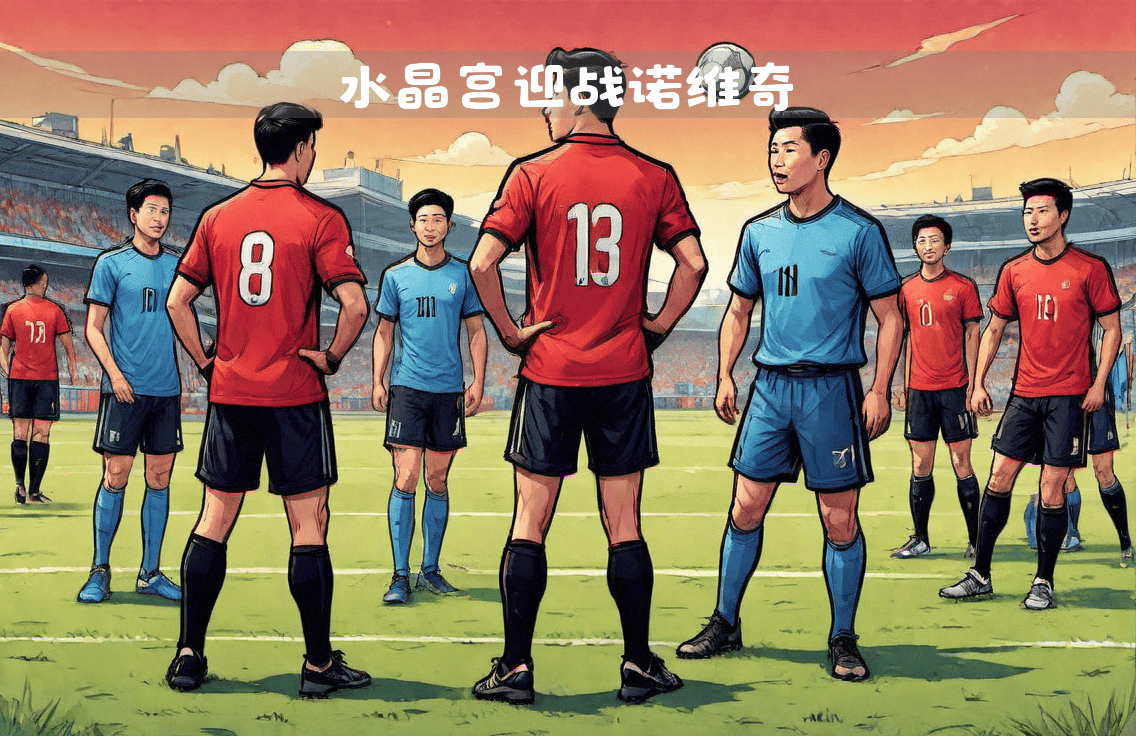 开云体育平台APP-关于水晶宫-不敌诺维奇，降级压力山大的信息