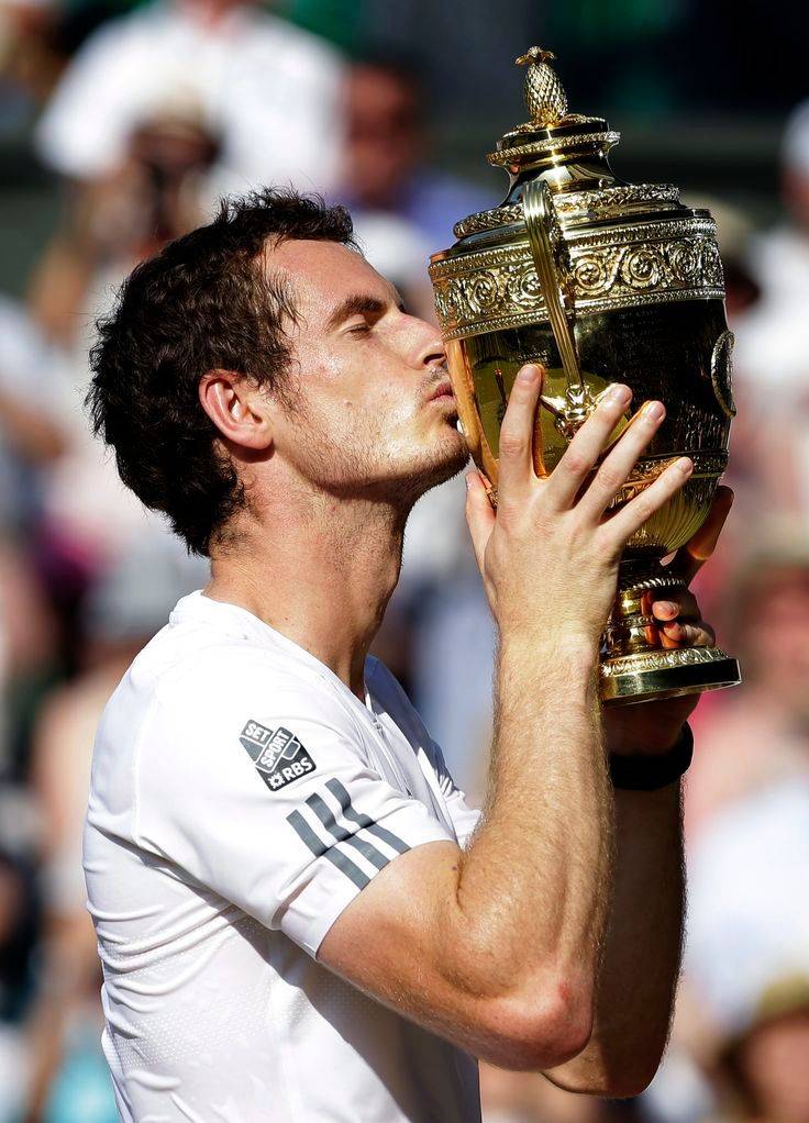 开云体育入口-包含法网轻取温网，穆雷点燃赛场的词条